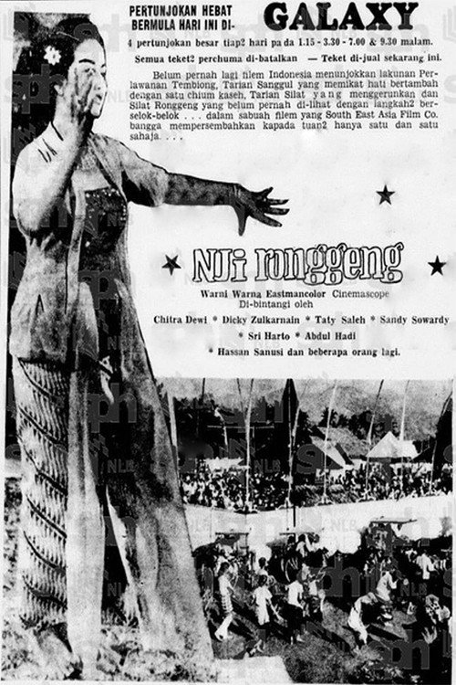 Movie poster for Nji Ronggeng (1969)