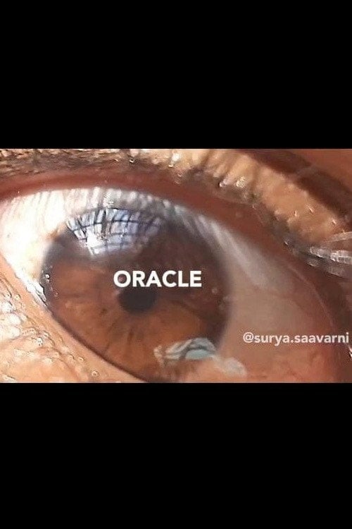 Movie poster for Oracle