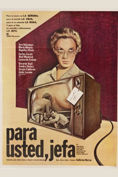 Movie poster for Para usted, jefa (1980)