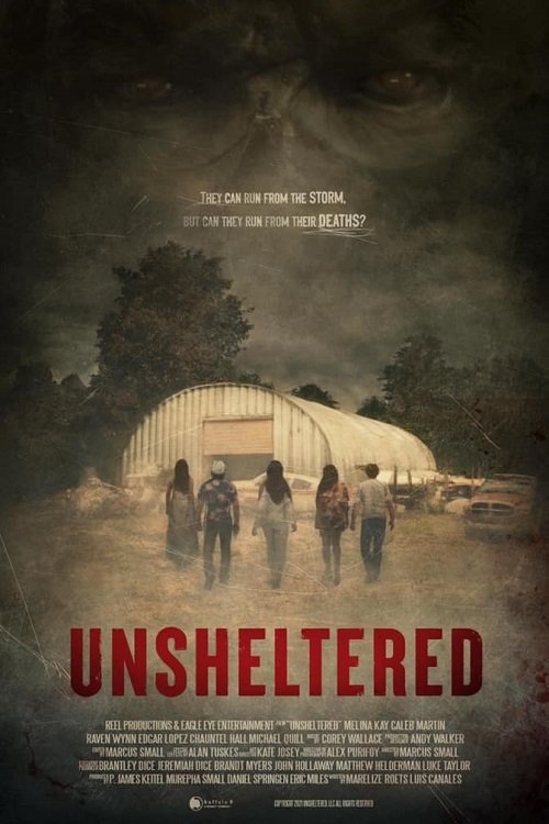 Movie poster for Unsheltered (2022)