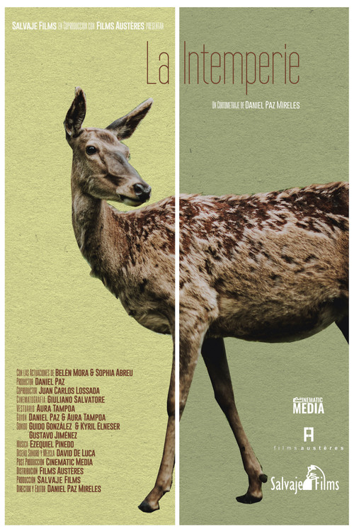 Movie poster for Out in the Open (2021)