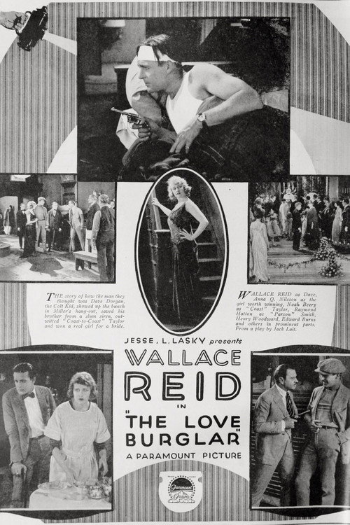 Movie poster for The Love Burglar (1919)