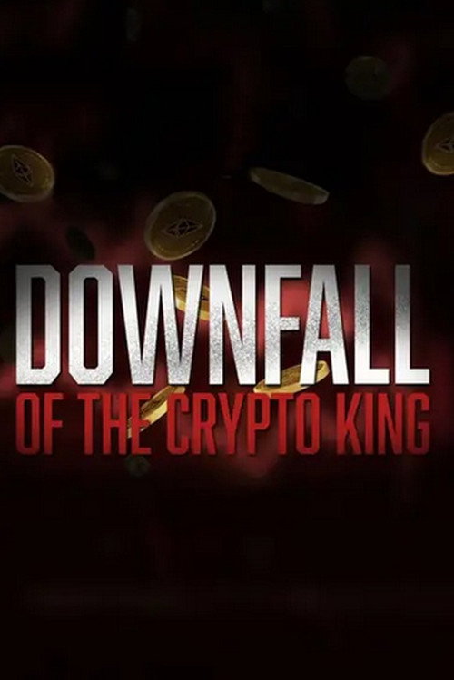 Movie poster for Downfall of the Crypto King (2024)