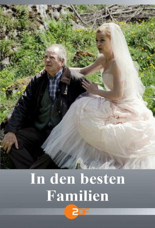 Movie poster for In den besten Familien (2012)