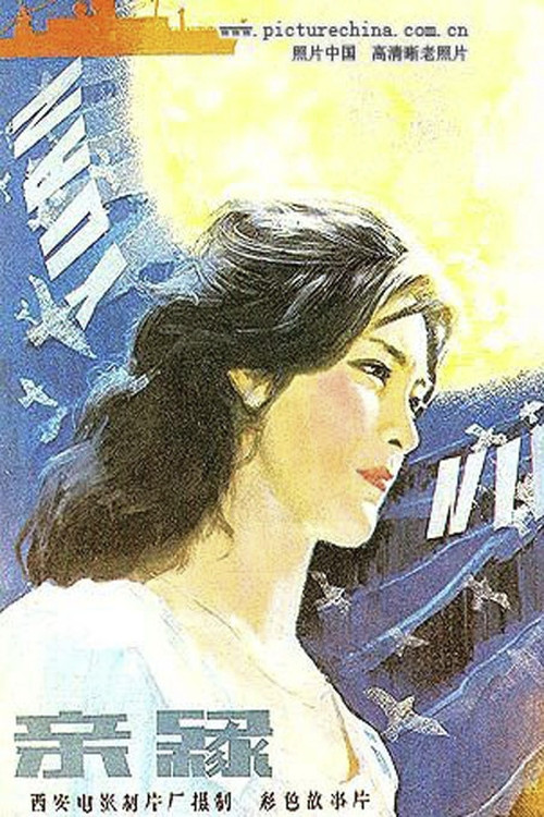 Movie poster for The Kinship (1980)