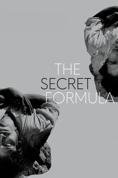 Movie poster for The Secret Formula (1965)