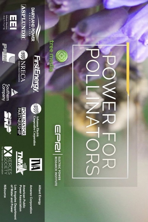 Movie poster for Power for Pollinators (2020)
