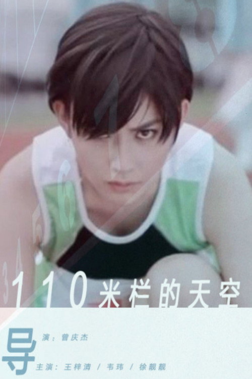 Movie poster for 110米栏的天空 (2012)