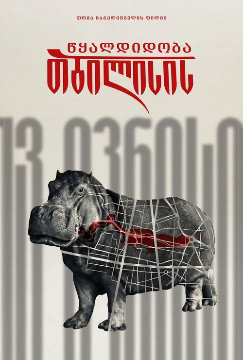 Movie poster for თბილისის წყალდიდობა (2013)