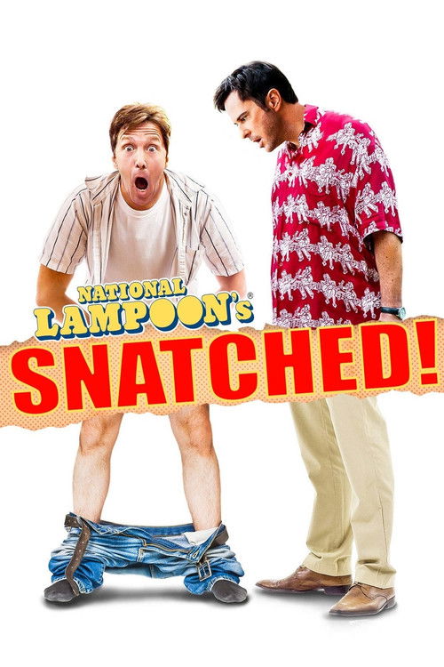 Movie poster for National Lampoon's Snatched (2011)