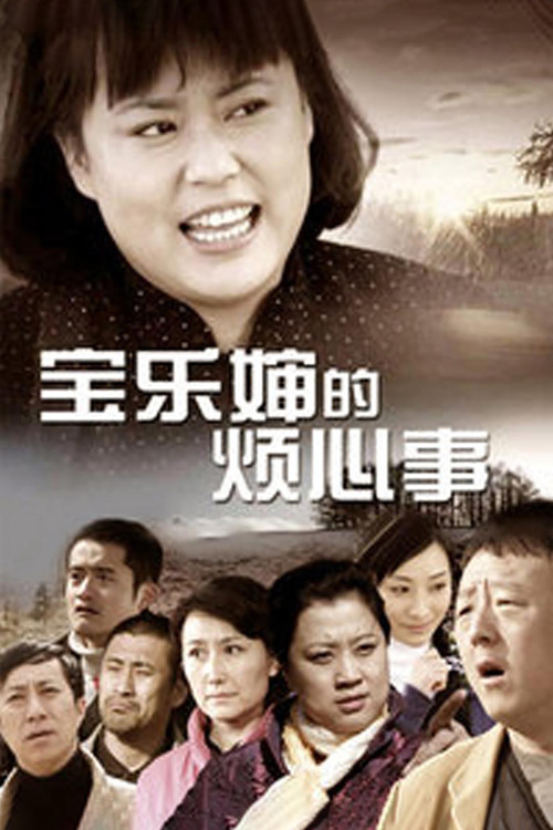 宝乐婶的烦心事 poster