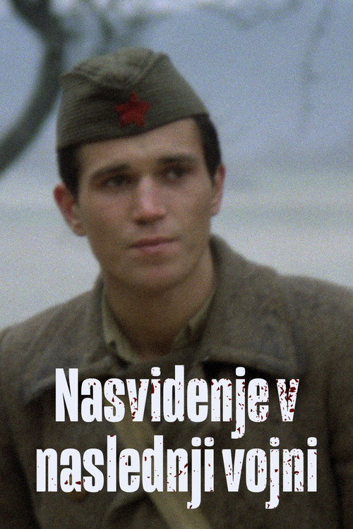 Movie poster for See You in the Next War (1980)
