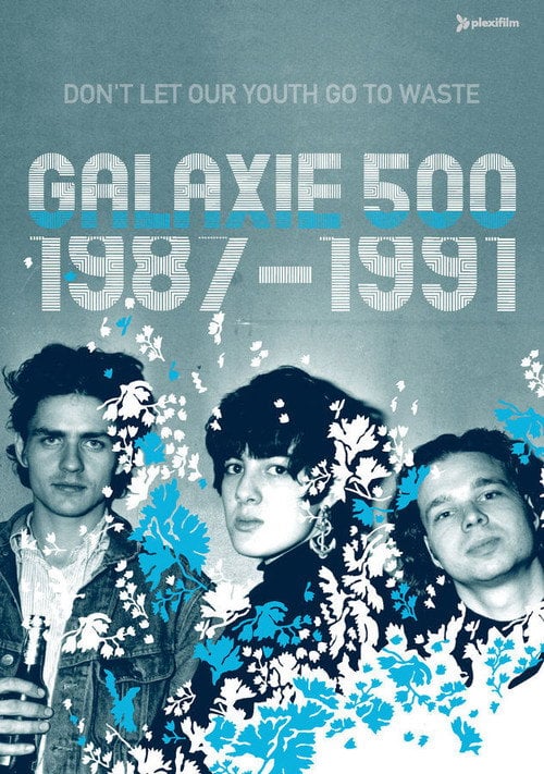 Movie poster for Galaxie 500: Don't Let Our Youth Go to Waste (2004)