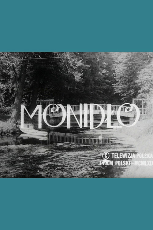Movie poster for Monidło (1970)