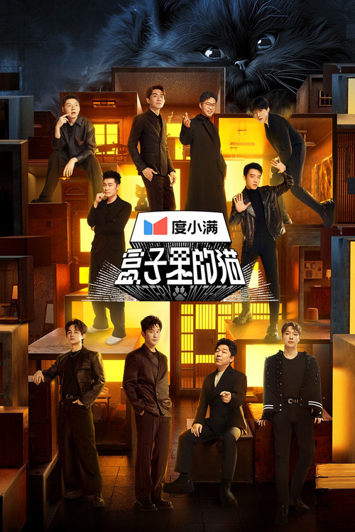 Mystery in the Box poster