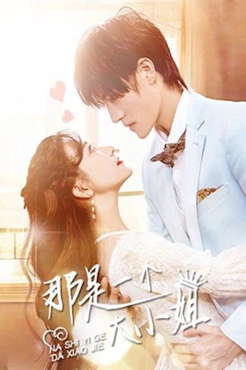 那是一个大小姐 poster