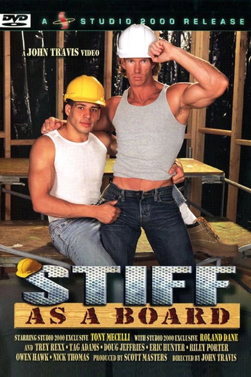 Movie poster for Stiff as a Board (2003)