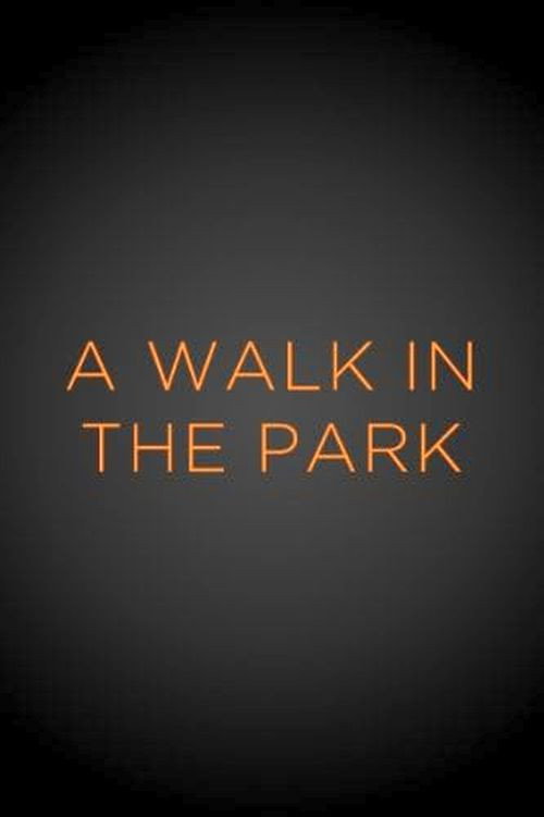Movie poster for A Walk in the Park (1999)