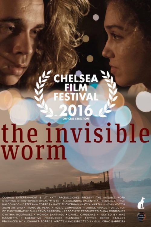 Movie poster for The Invisible Worm (2016)