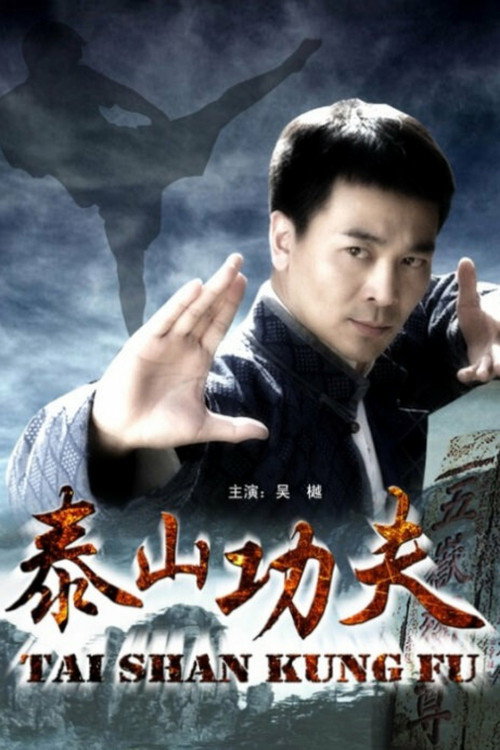 Movie poster for Taishan Kung Fu (2009)