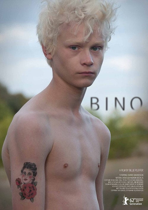 Movie poster for Bino (2012)