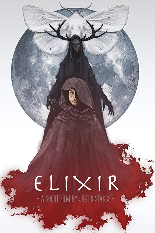 Movie poster for Elixir (2016)