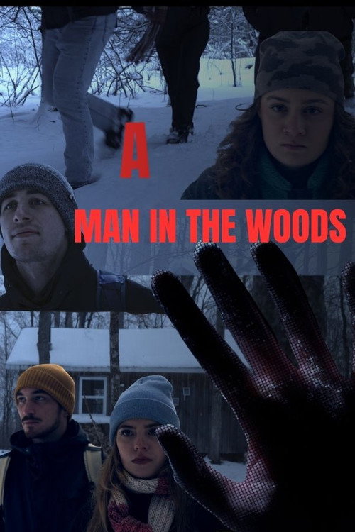 Movie poster for A Man in The Woods
