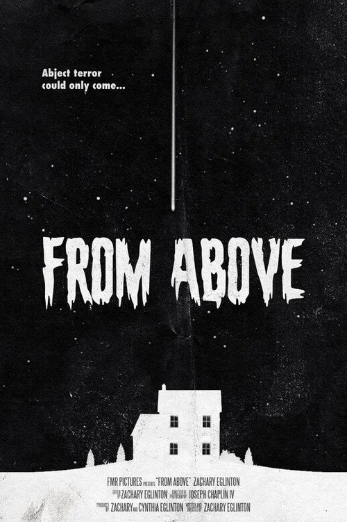 Movie poster for From Above (2023)