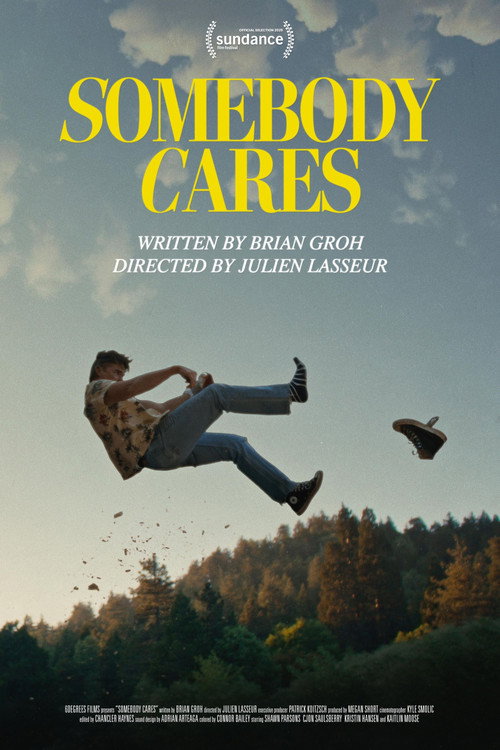 Movie poster for Somebody Cares (2025)