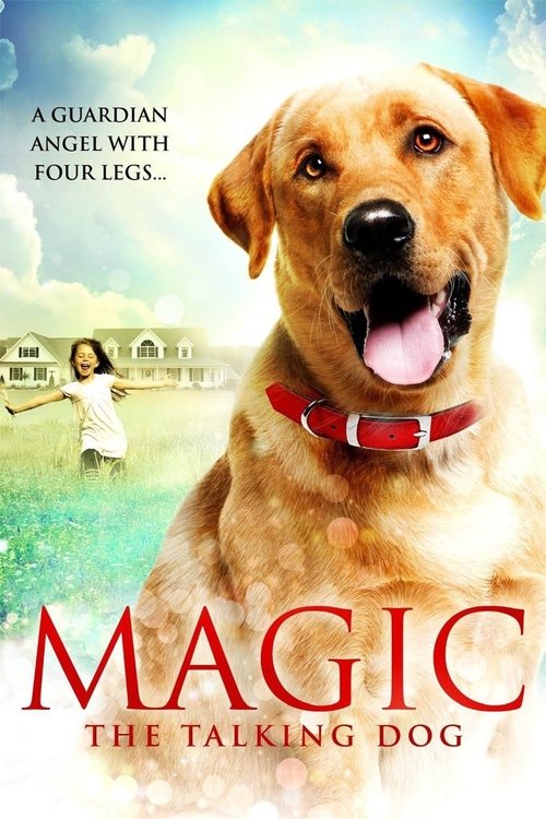 Movie poster for Magic (2010)