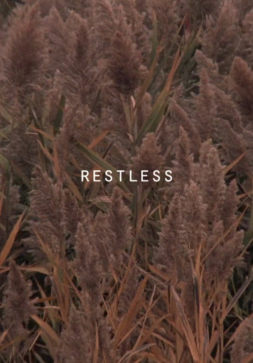 Movie poster for Restless (2017)