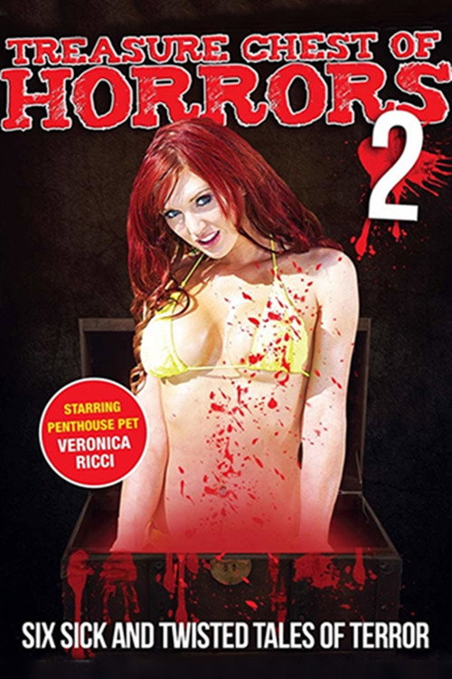 Movie poster for Treasure Chest of Horrors 2 (2013)