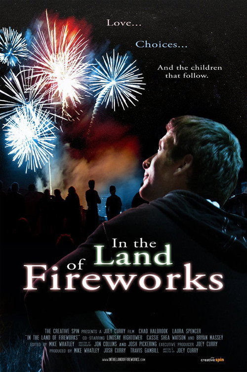 Movie poster for In The Land Of Fireworks (2013)
