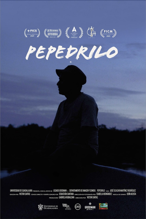 Movie poster for Pepedrilo (2021)