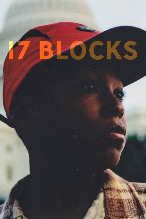 Movie poster for 17 Blocks (2019)