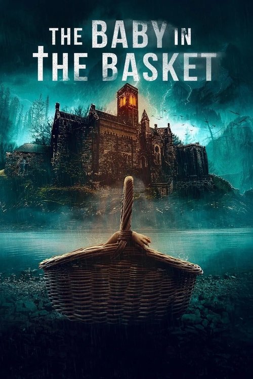 Movie poster for The Baby in the Basket (2025)