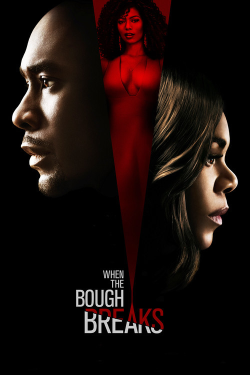 Movie poster for When the Bough Breaks (2016)