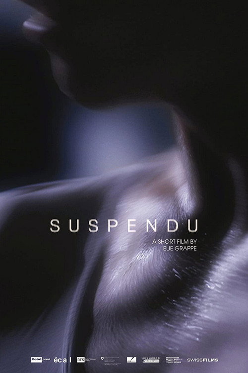 Movie poster for Suspendu (2015)