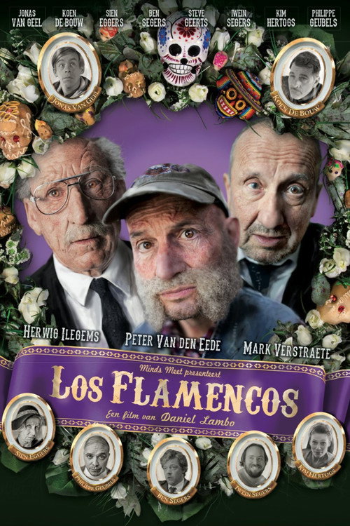 Movie poster for Los Flamencos (2013)