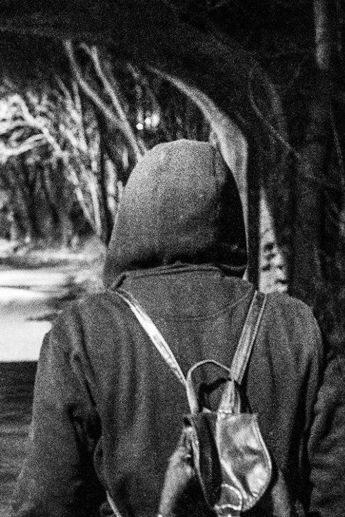 Movie poster for I Should Have Run (2017)