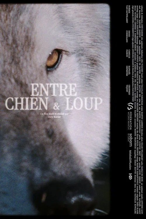 Movie poster for ENTRE CHIEN & LOUP (2025)