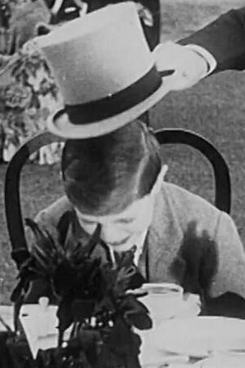 Movie poster for Scenes at his Excellency the Viceroys's Garden Party at Belvedere (1926)