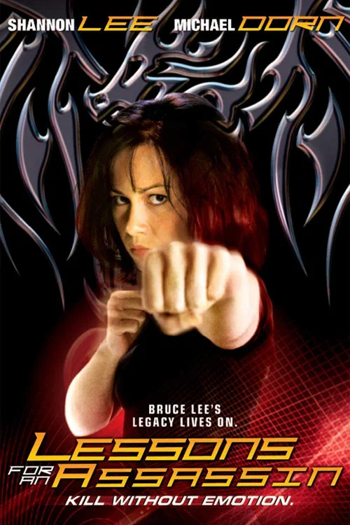 Movie poster for Lessons for an Assassin (2003)