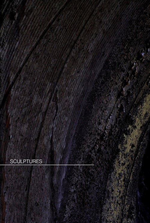 Movie poster for Sculptures (2025)