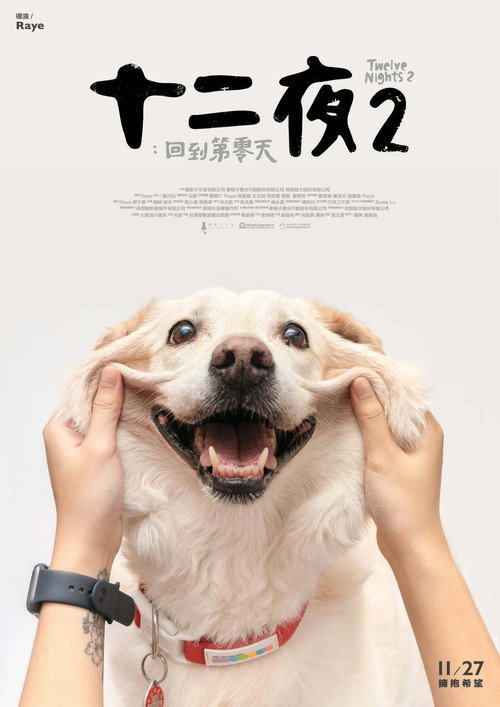Movie poster for Twelve Nights 2: Back to Day Zero (2020)