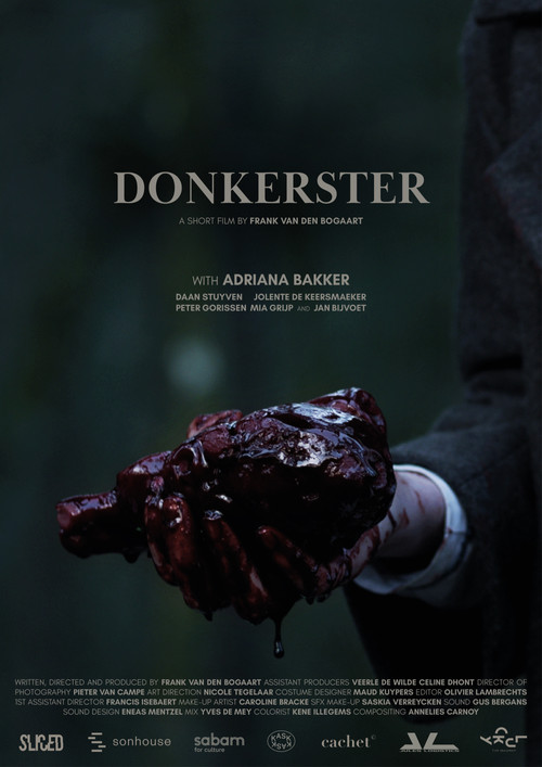 Movie poster for Darker (2022)