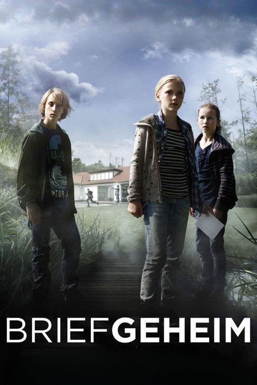 Movie poster for The Secret Letter (2010)