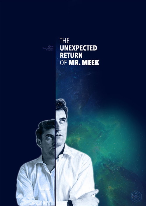 Movie poster for The Unexpected Return of Mr. Meek