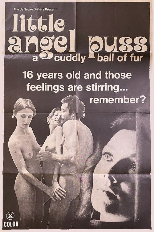 Movie poster for Little Angel Puss (1975)