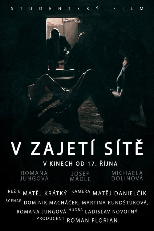 Movie poster for V zajetí sítě (2019)
